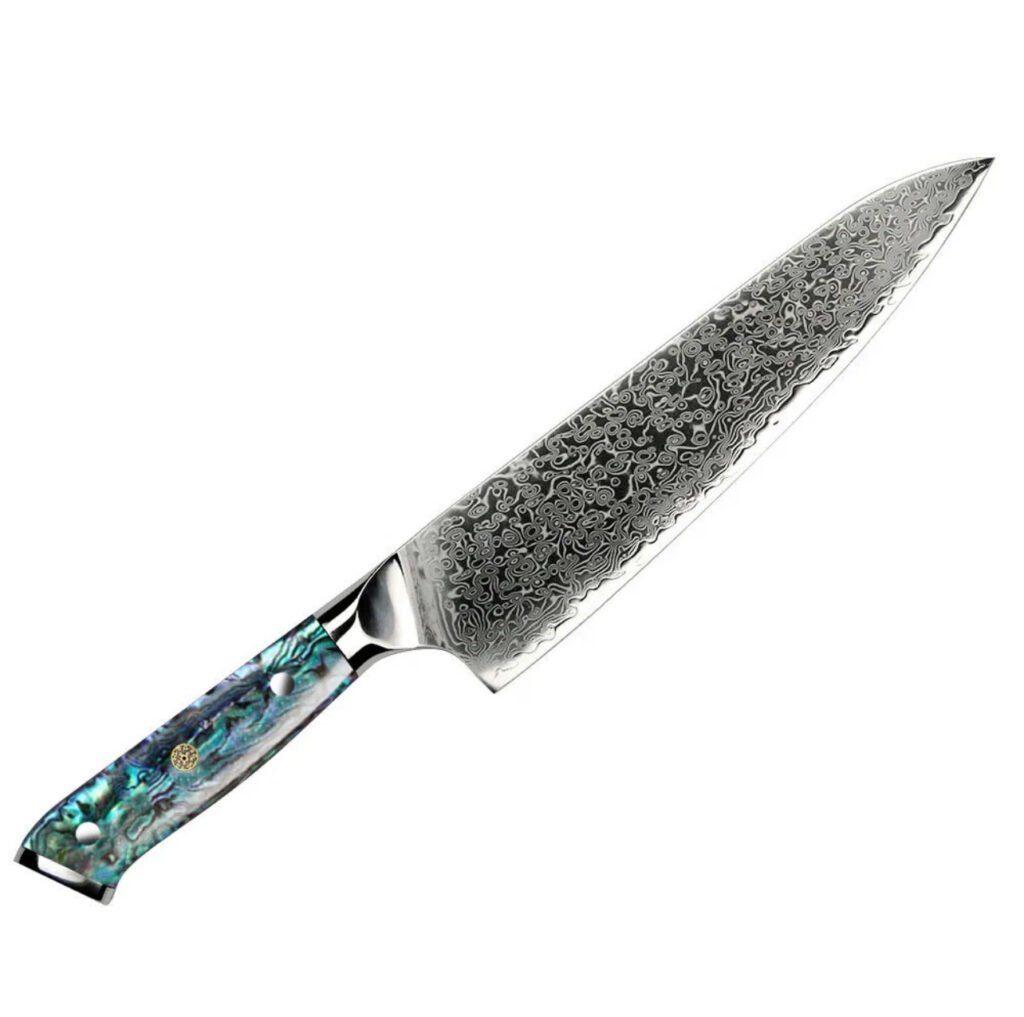 Couteau de chef professionnel en acier inoxydable de 67 couches Damas VG10 (manche abalone)